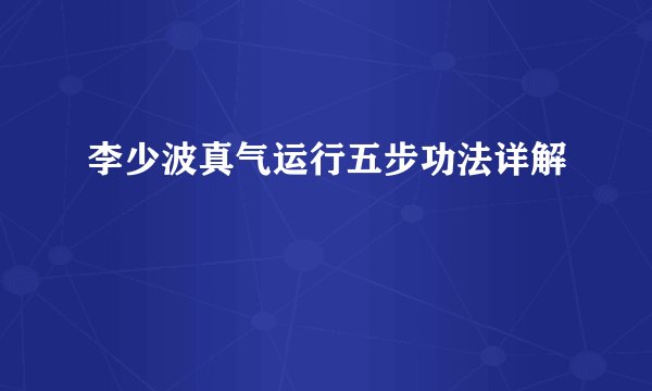 李少波真气运行五步功法详解
