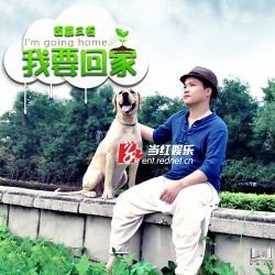 我要回家的歌曲简介