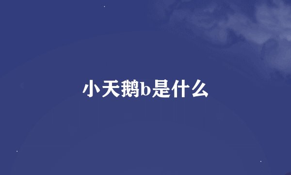 小天鹅b是什么