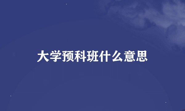 大学预科班什么意思