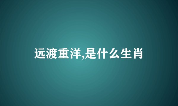 远渡重洋,是什么生肖