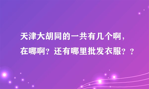 天津大胡同的一共有几个啊，在哪啊？还有哪里批发衣服？？