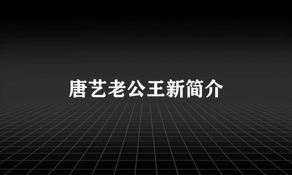 唐艺老公王新简介
