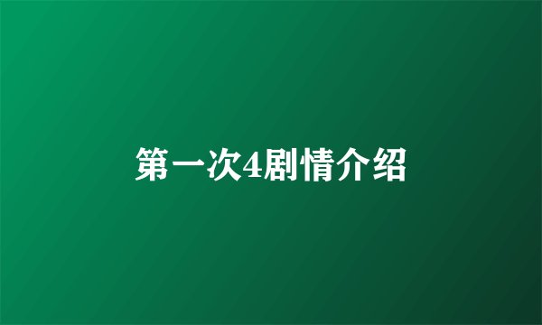 第一次4剧情介绍