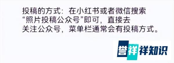 一个不起眼的暴利行业副业思路，随手拍照片实现日入1000+