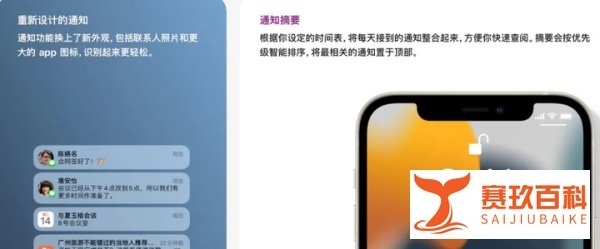 iOS 15正式版发布，该不该更新？