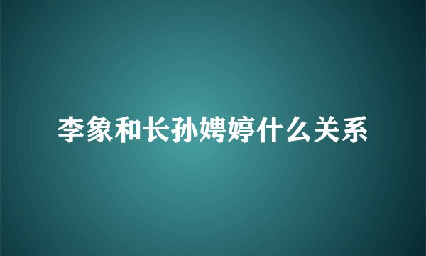 李象和长孙娉婷什么关系