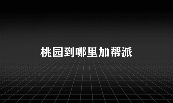 桃园到哪里加帮派