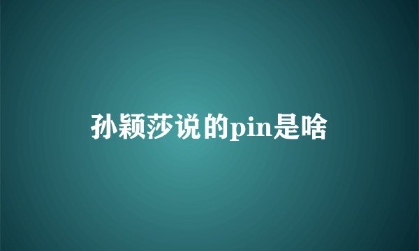 孙颖莎说的pin是啥
