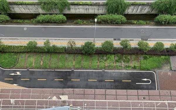 14岁女孩坠亡生前疑遭强奸致孕，案件已在审查逮捕阶段