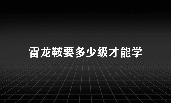 雷龙鞍要多少级才能学