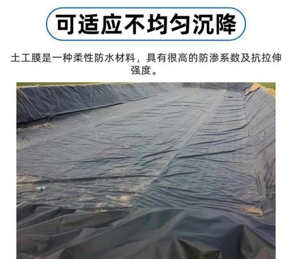 土工膜、防渗膜多少钱一平方？