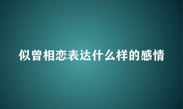 似曾相恋表达什么样的感情