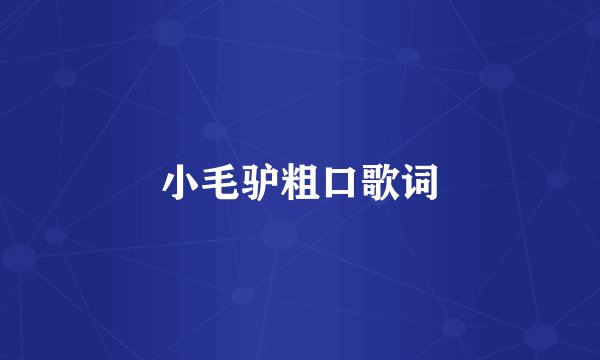 小毛驴粗口歌词