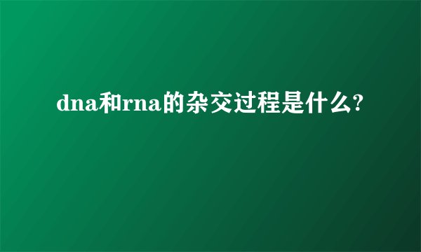 dna和rna的杂交过程是什么?