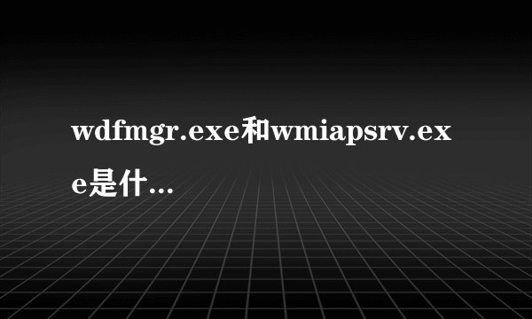 wdfmgr.exe和wmiapsrv.exe是什么进程?