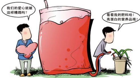 血浆浇花的网民观点