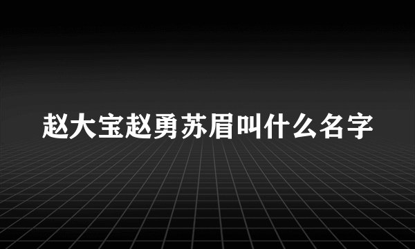 赵大宝赵勇苏眉叫什么名字