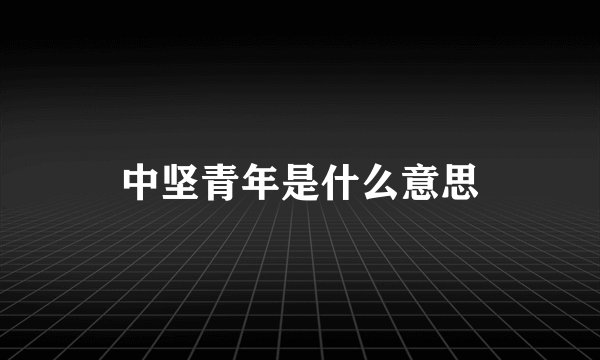 中坚青年是什么意思