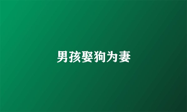 男孩娶狗为妻