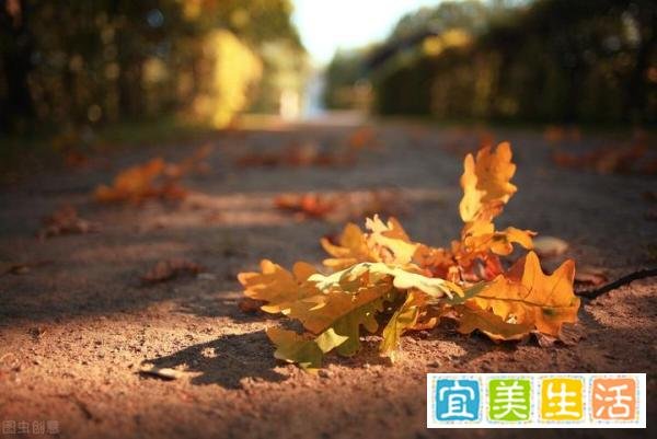 “白露”这天的讲究、习俗和忌讳