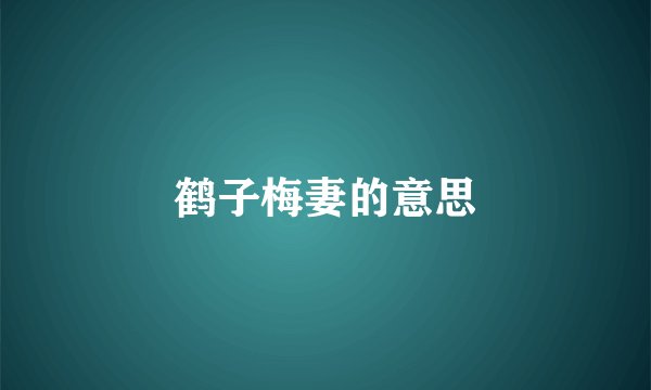 鹤子梅妻的意思