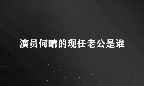 演员何晴的现任老公是谁