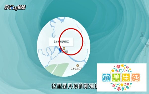 盘锦红海滩风景区游玩攻略