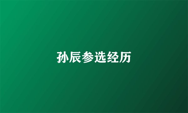 孙辰参选经历