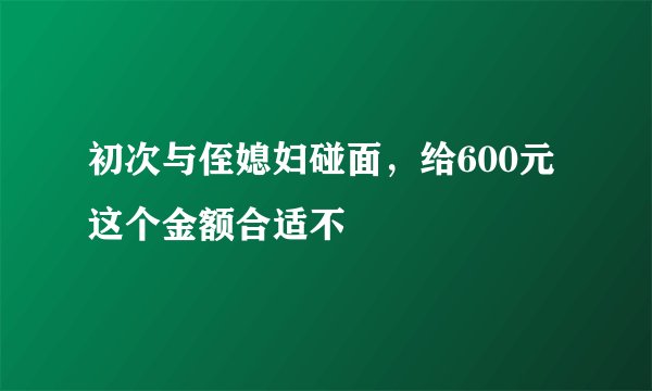 初次与侄媳妇碰面，给600元这个金额合适不