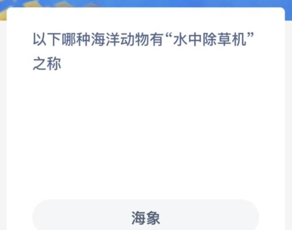 以下哪种海洋动物有水中除草机之称