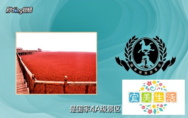 盘锦红海滩风景区游玩攻略