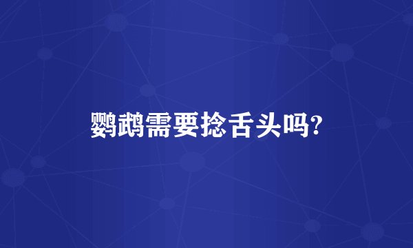 鹦鹉需要捻舌头吗?