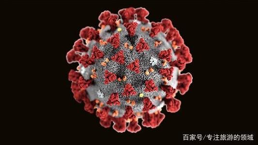 阿南德2020年下半年的预言会是真的吗？