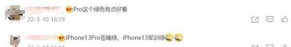 网友吐槽是苍蝇绿！iPhone 13系列苍岭绿/绿色真机上手视频曝光