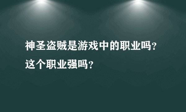 神圣盗贼是游戏中的职业吗？这个职业强吗？