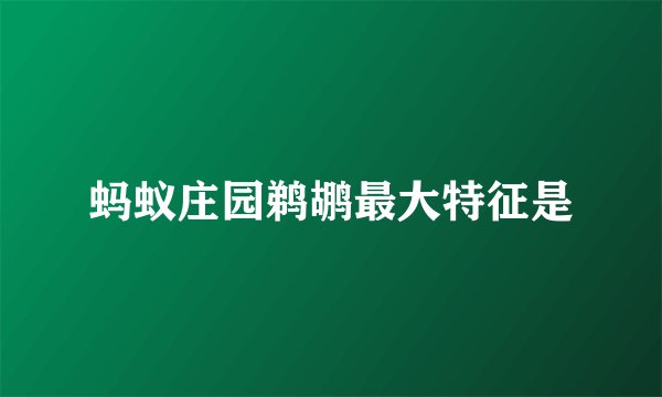 蚂蚁庄园鹈鹕最大特征是