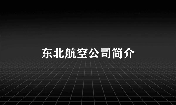 东北航空公司简介
