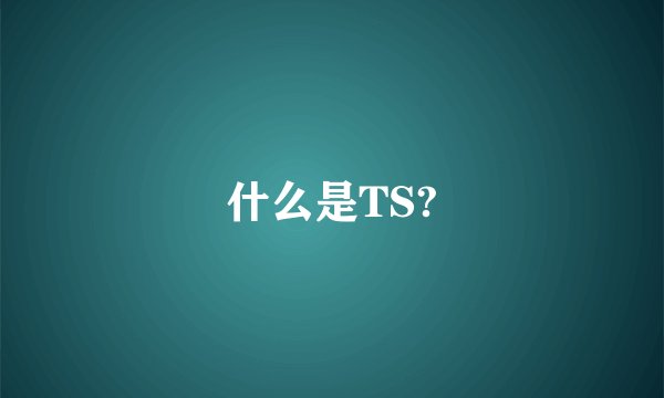 什么是TS?