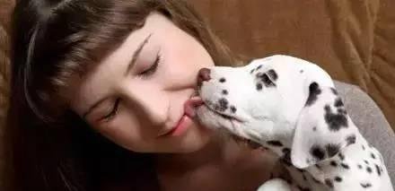 狗狗喜欢舔你脸，背后的原因竟然是.......