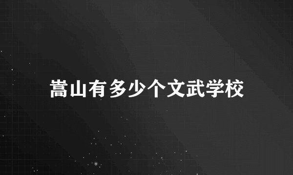 嵩山有多少个文武学校