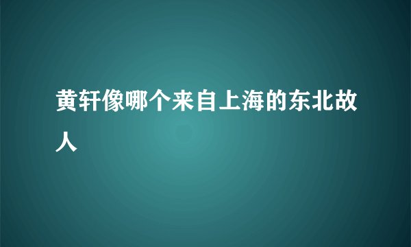 黄轩像哪个来自上海的东北故人