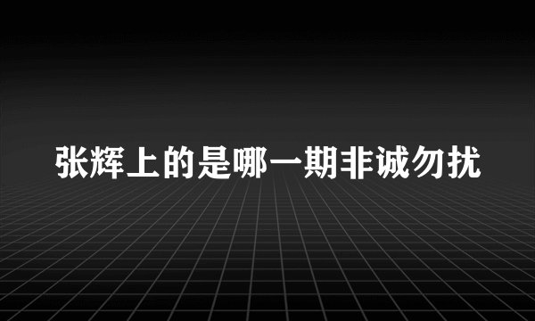 张辉上的是哪一期非诚勿扰