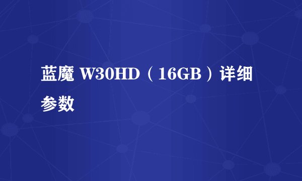 蓝魔 W30HD（16GB）详细参数