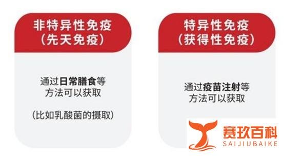 R-1乳酸菌到底有什么用？